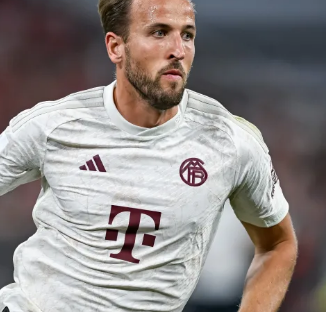 以及在对抗 以及在对抗